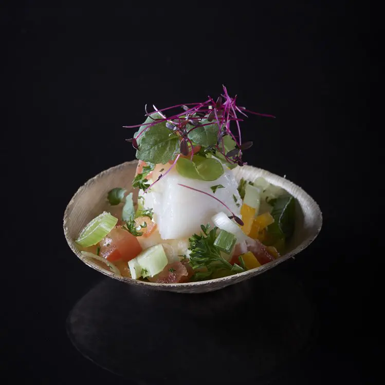 Nauta carpaccio